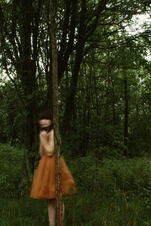 forest